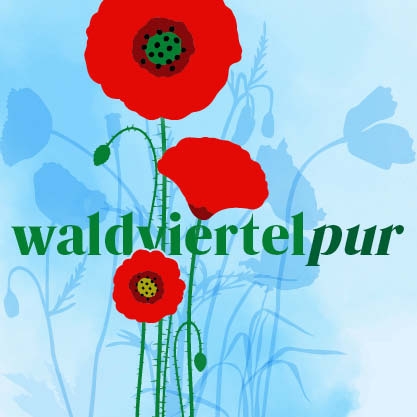 Sie betrachten gerade Waldviertel pur