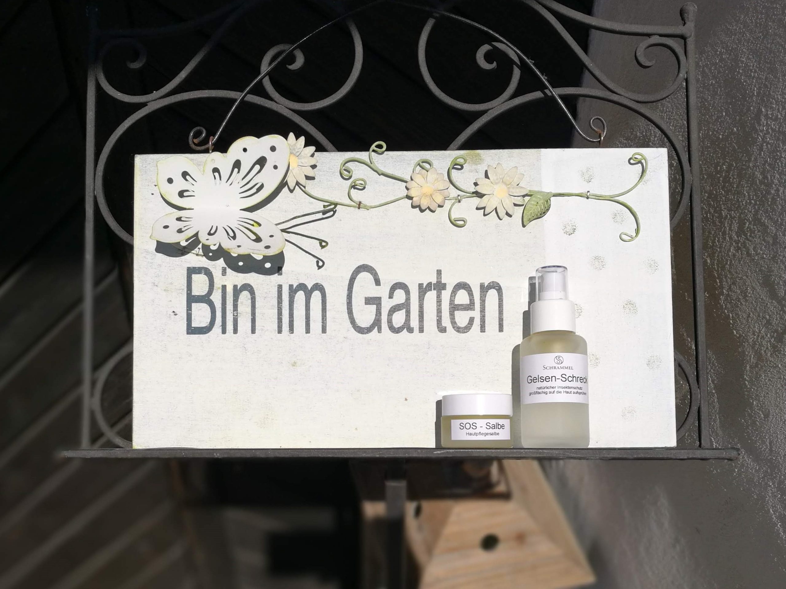 Mehr über den Artikel erfahren Sie geht wieder los – die Gelsenzeit!
