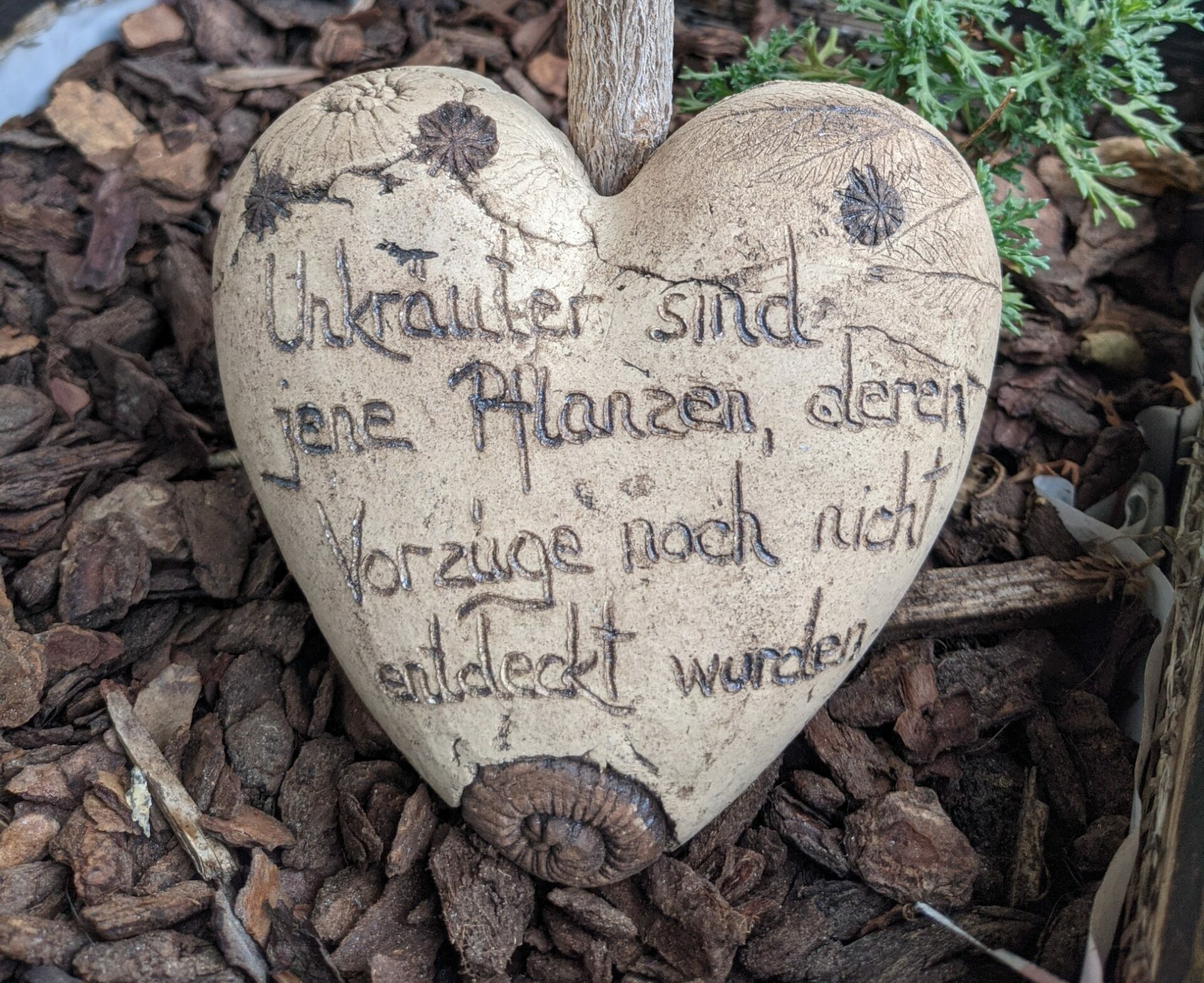 Mehr über den Artikel erfahren Die Natur und ich