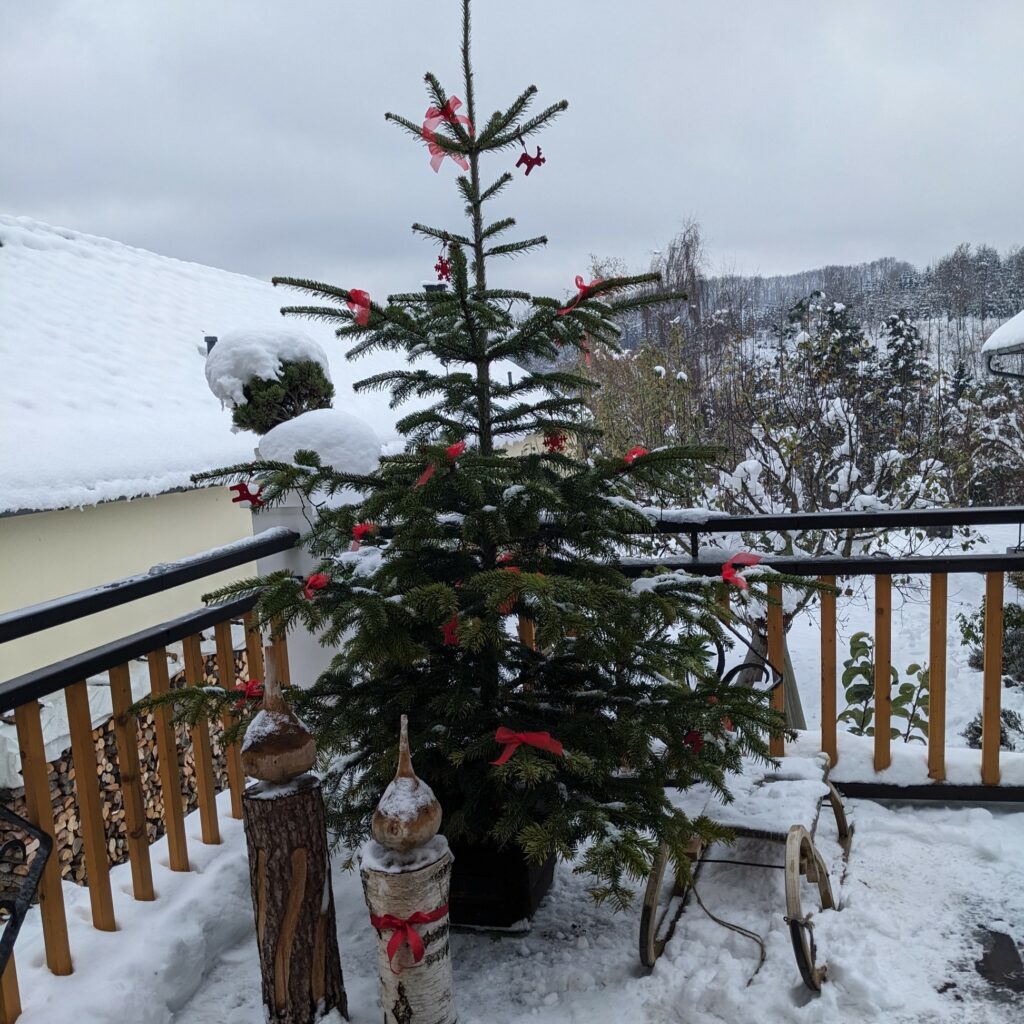 Weihnachtdekoration auf der Terrasse