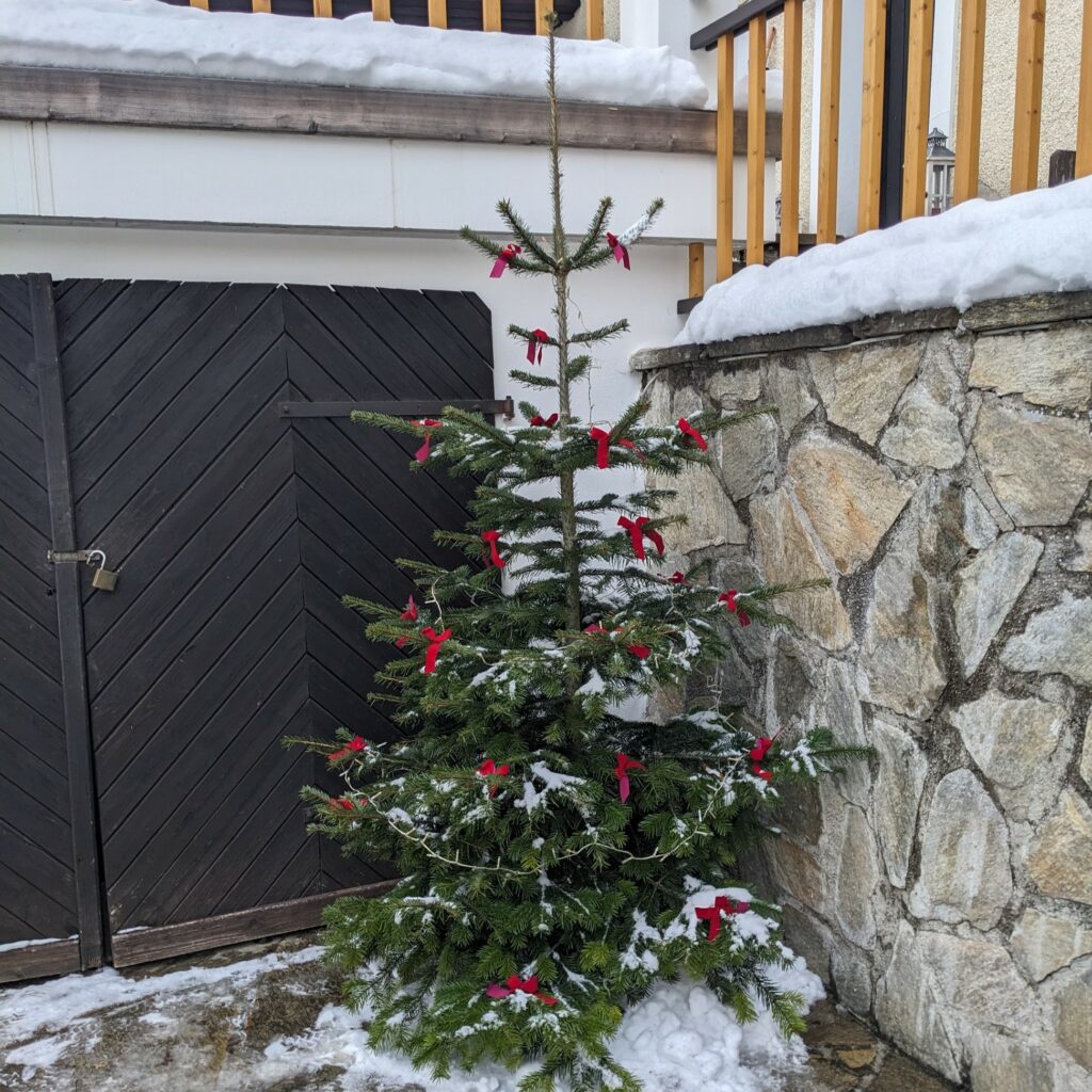 Weihnachtsbaum